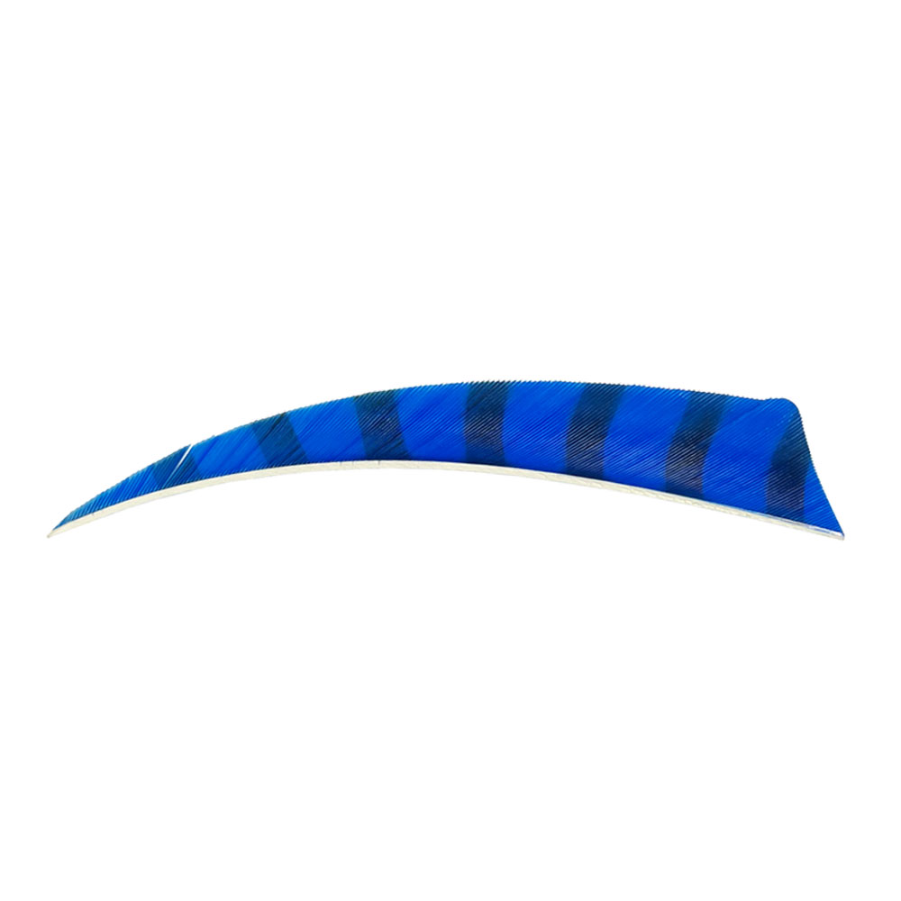 Color: Blue/Black Color: Blue/Black