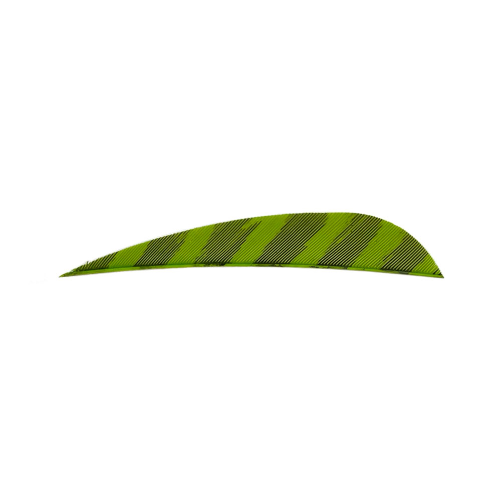 Color: Barred Chartreuse Color: Barred Chartreuse