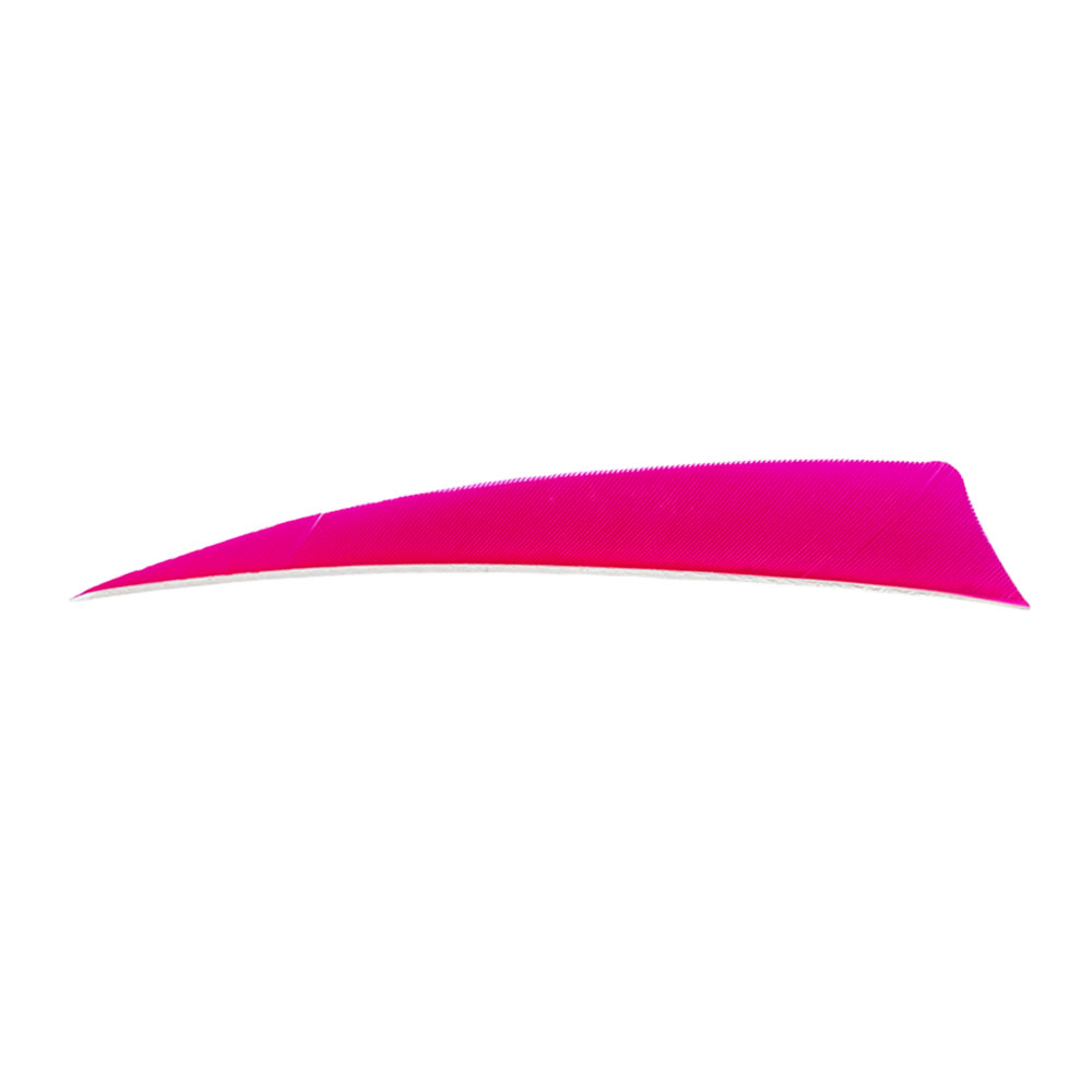 Color: Fluor Pink Color: Fluor Pink