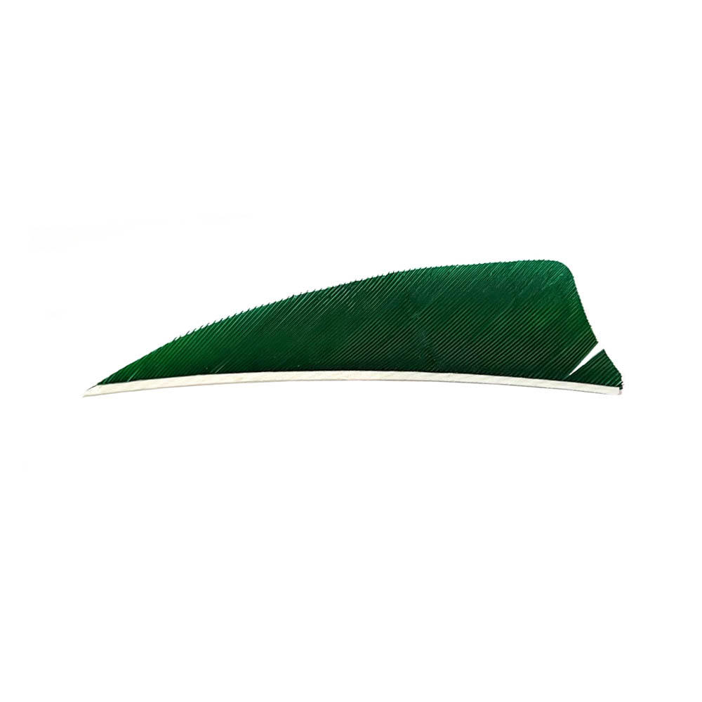 Color: Green Color: Green