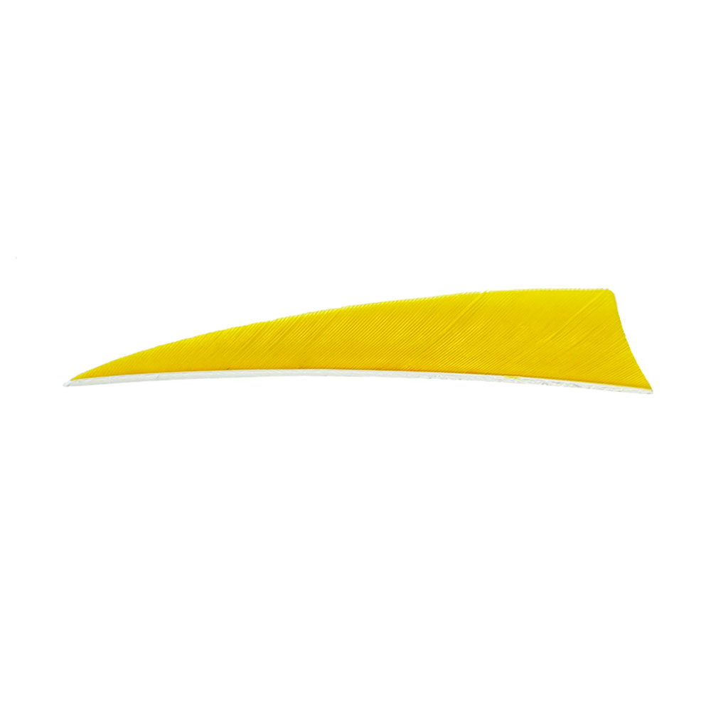 Color: Yellow Color: Yellow