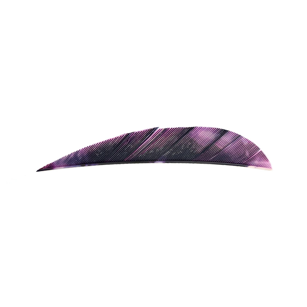 Color: Tre Purple Color: Tre Purple