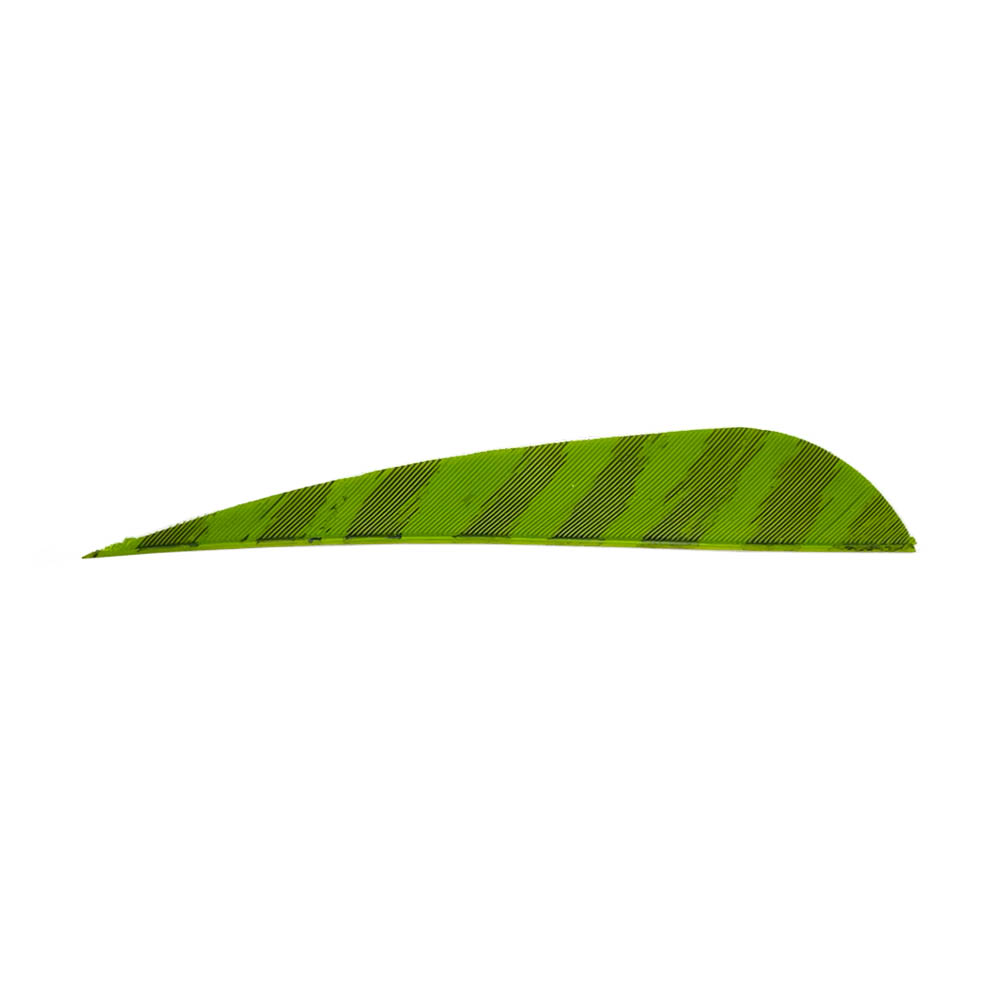 Color: Barred Chartreuse Color: Barred Chartreuse