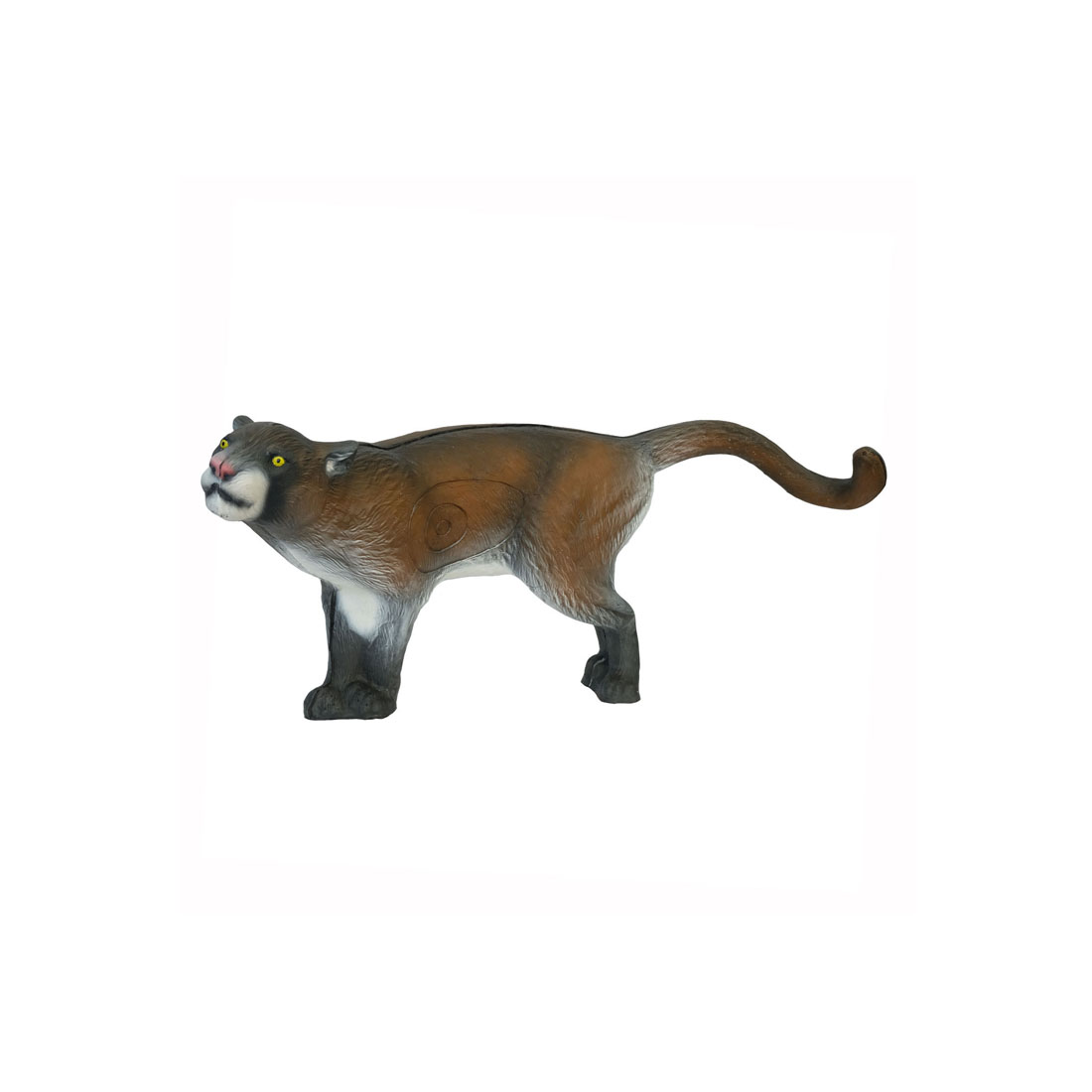 Dier, Wilde dieren, Zoogdier, Beer