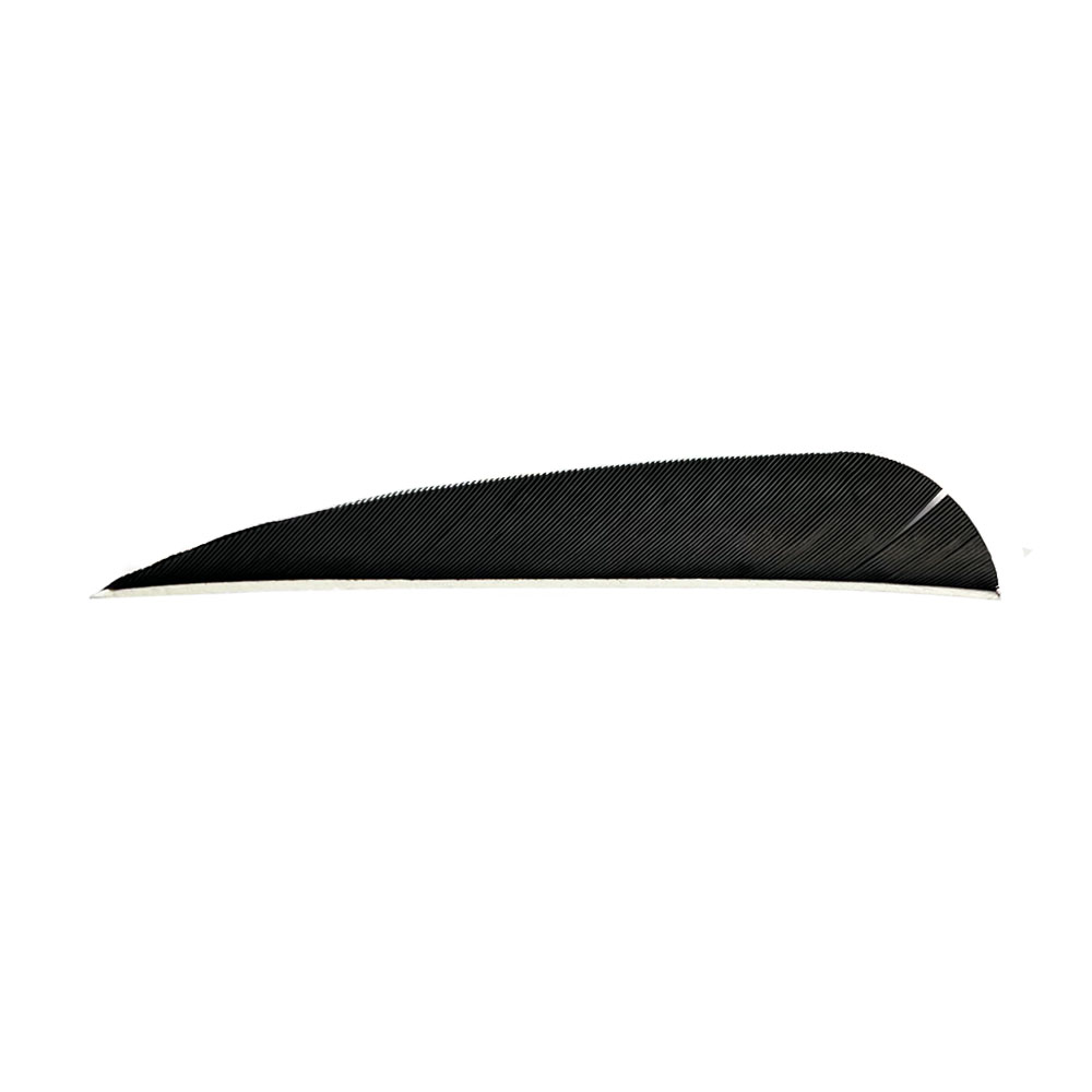 Color: Black Color: Black