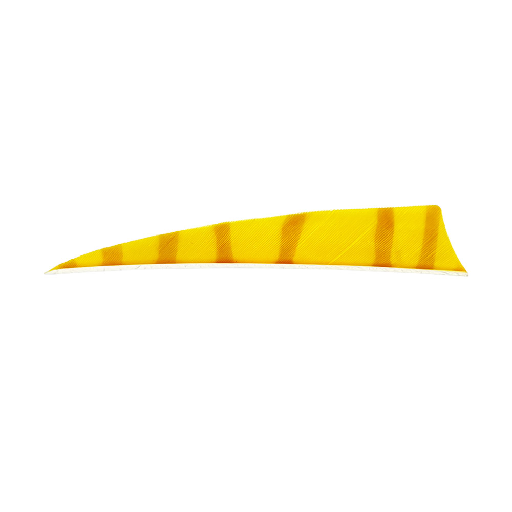 Color: Yellow/Orange Color: Yellow/Orange