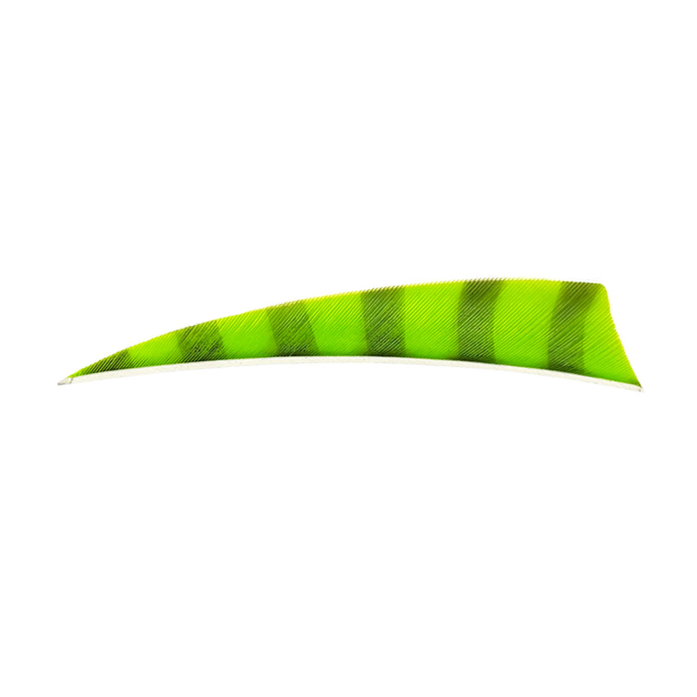 Color: Fluor Green/Black Color: Fluor Green/Black