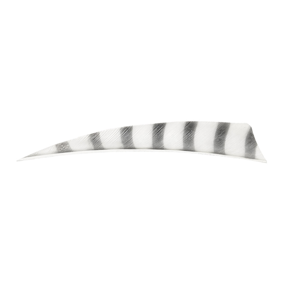 Color: White/Black Color: White/Black