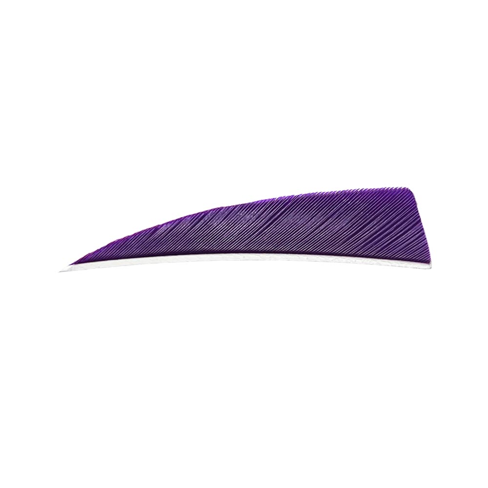 Color: Purple Color: Purple