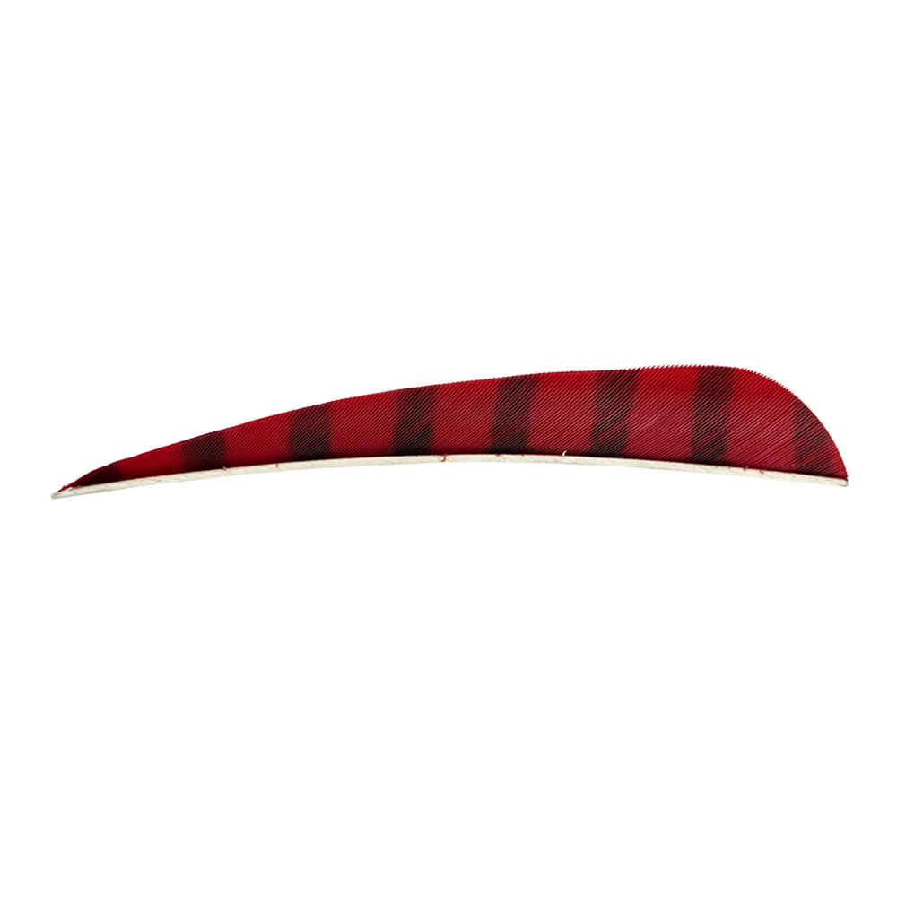 Color: Red/Black Color: Red/Black