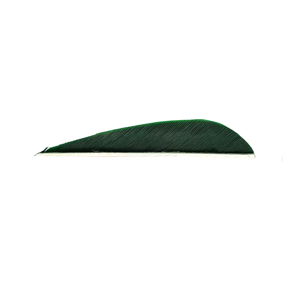 Color: Green Color: Green