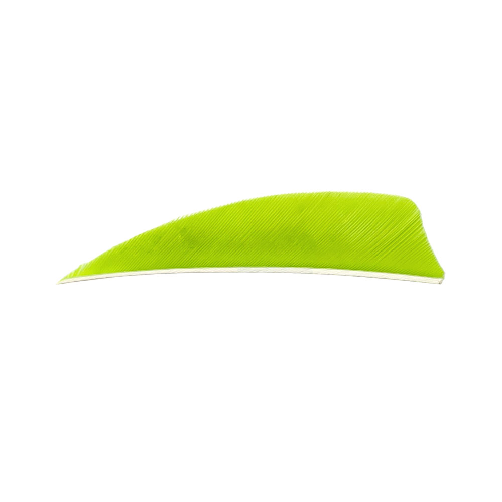Color: Lemon Lime Color: Lemon Lime