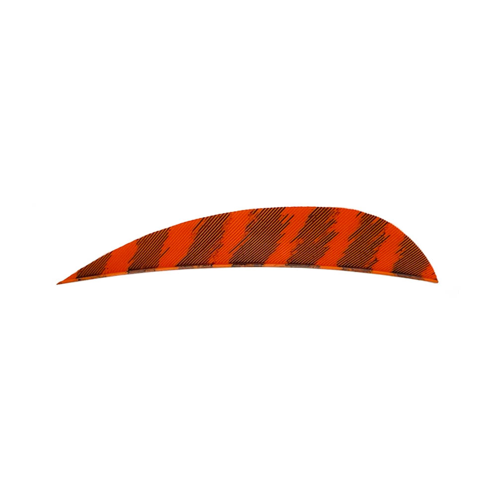 Color: Barred Orange Color: Barred Orange