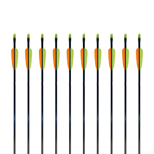 Fiberglass Arrow Multi-Pack 10