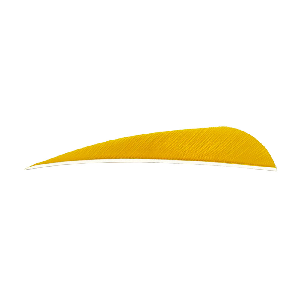 Color: Yellow Color: Yellow