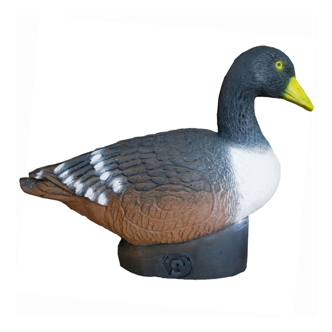 Dier, Anseriformes, Vogel, Watervogels