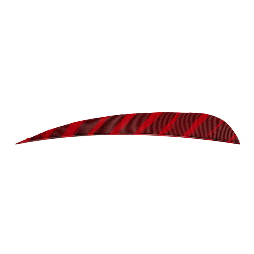 Color: Barred Red Color: Barred Red