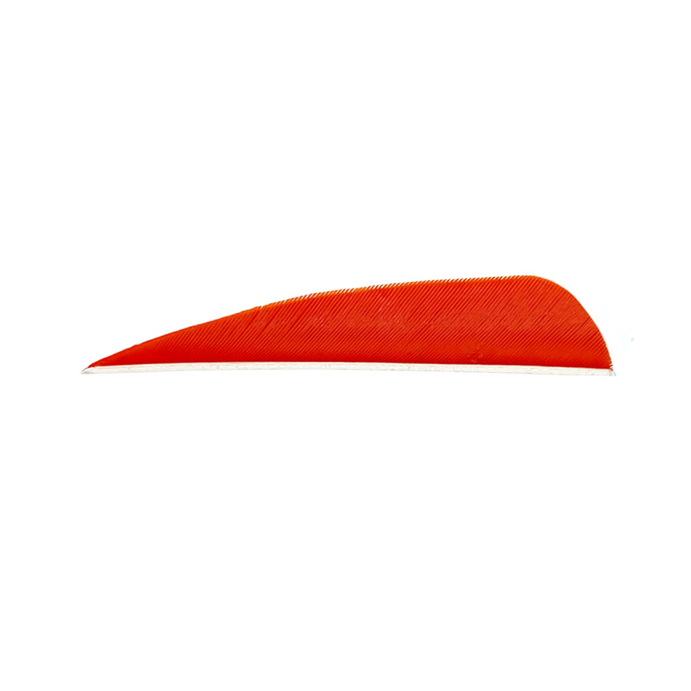 Color: Orange Color: Orange