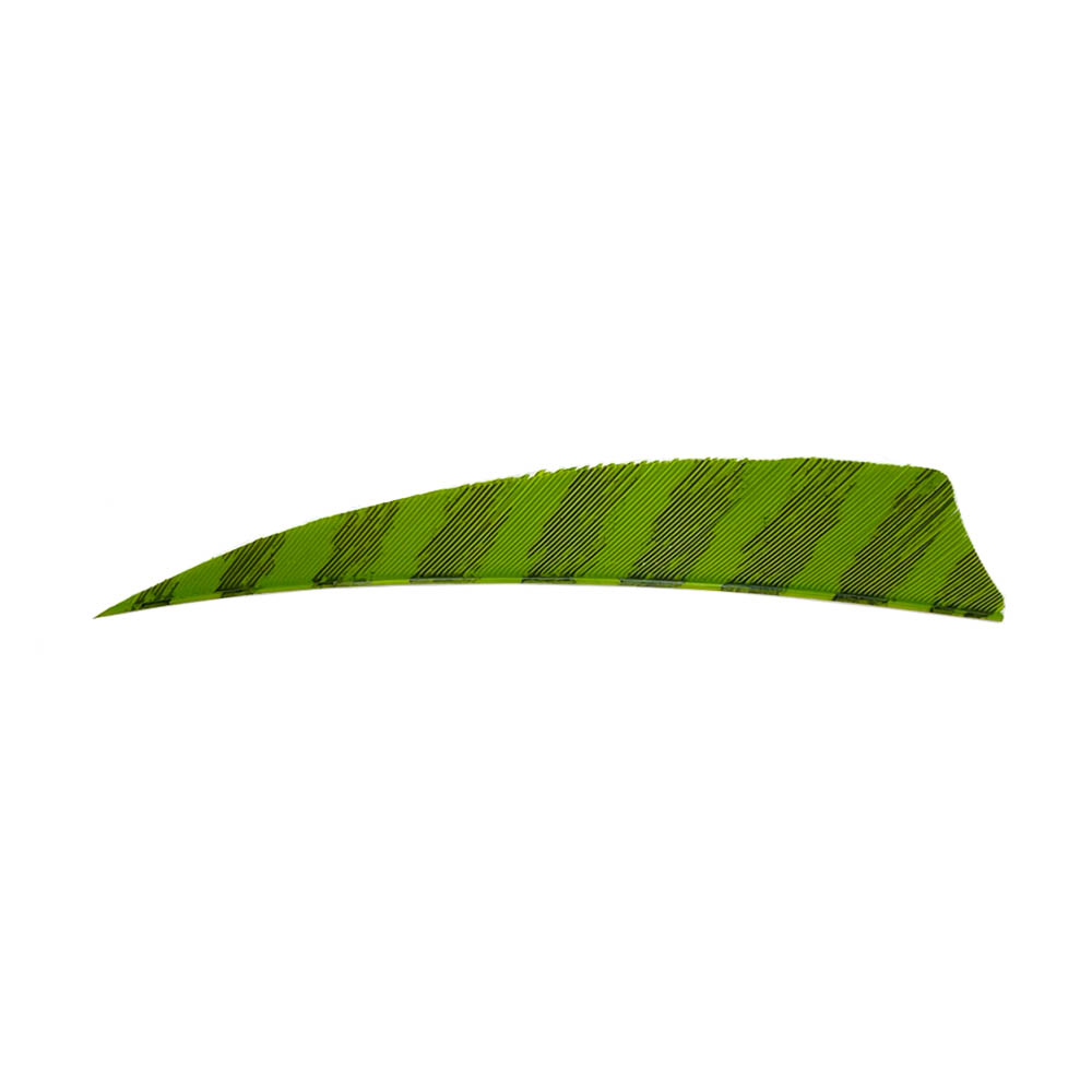 Color: Barred Chartreuse Color: Barred Chartreuse