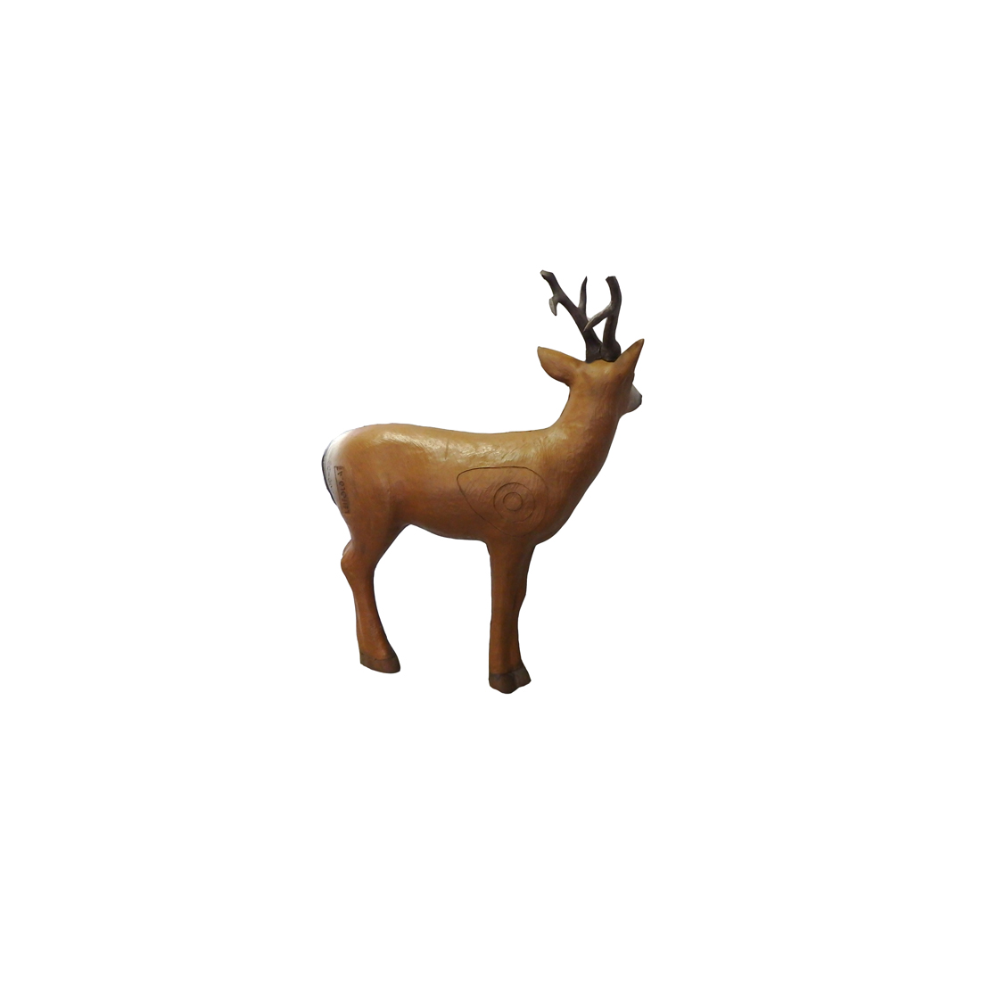 Dier, hert, Zoogdier, Wilde dieren, Antilope