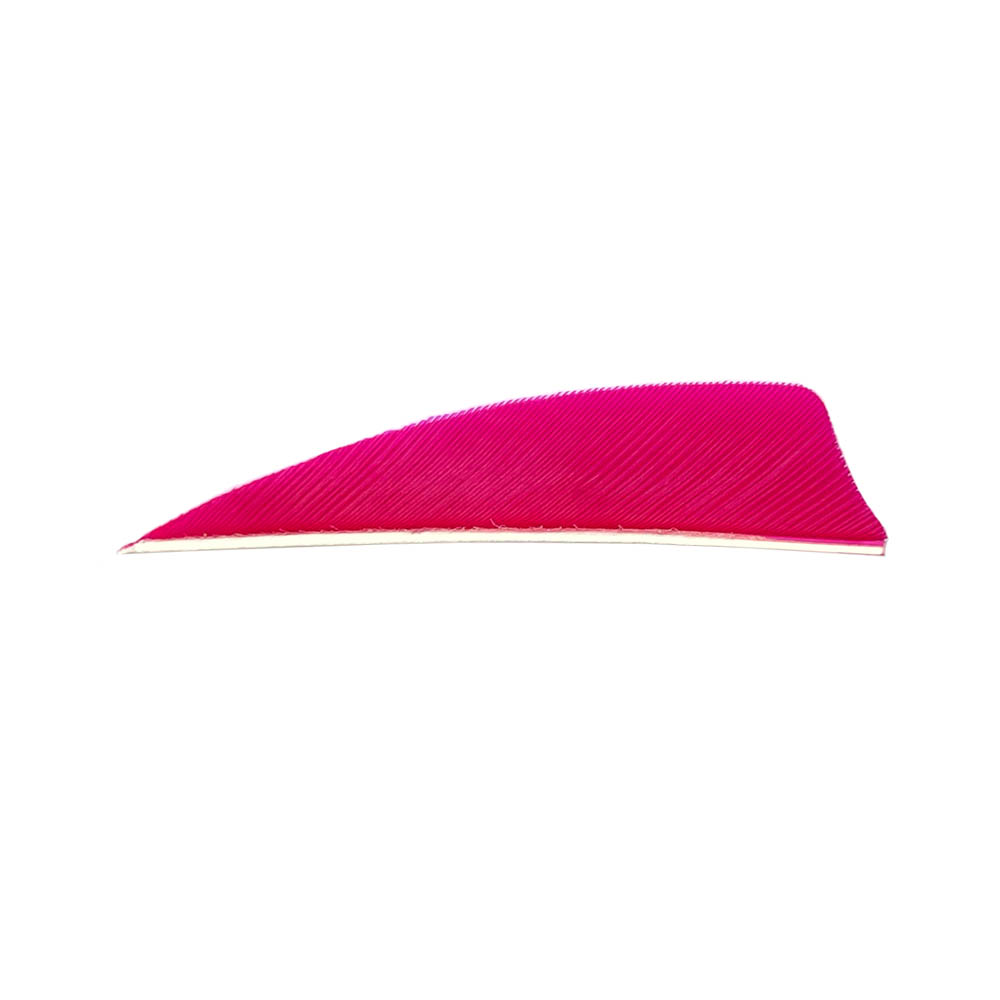Color: Pink Color: Pink