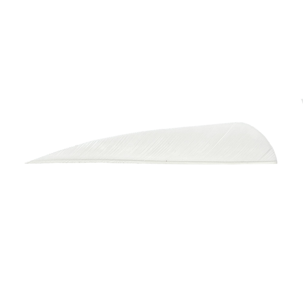 Color: White Color: White