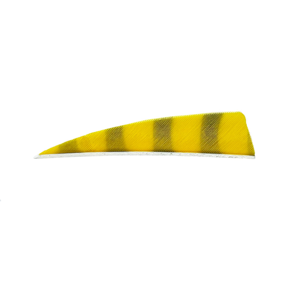 Color: Yellow/Black Color: Yellow/Black