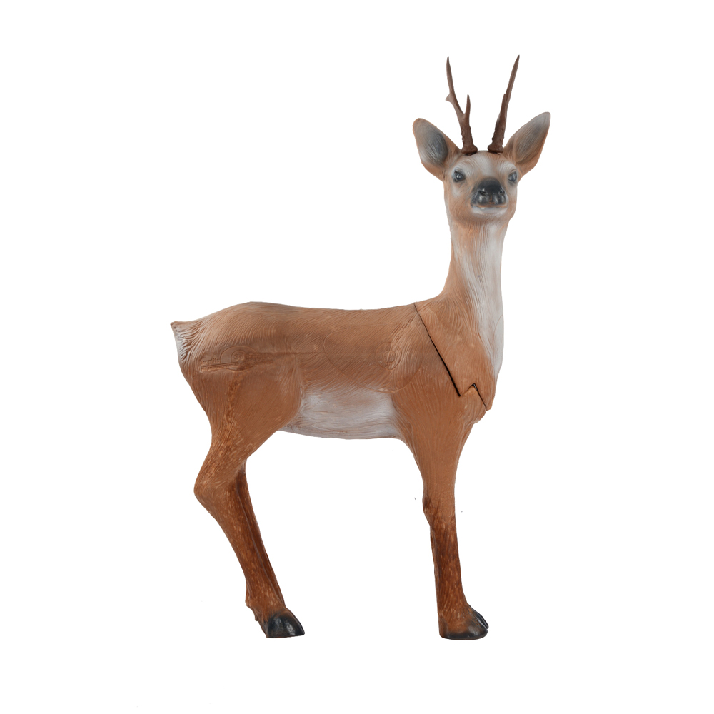 Longlife 3D Target Roebuck