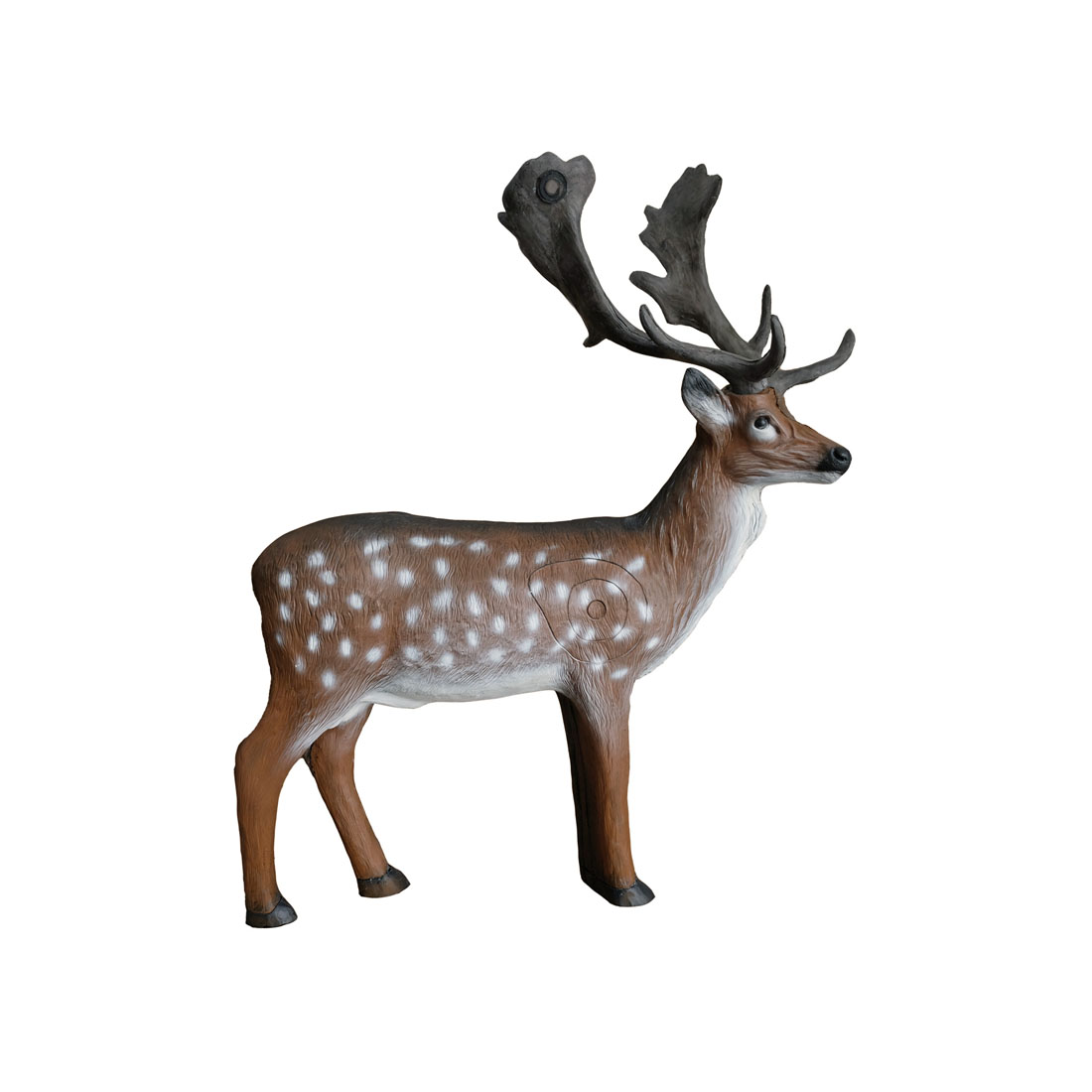 hert, Zoogdier, Wilde dieren, Antilope, Gewei