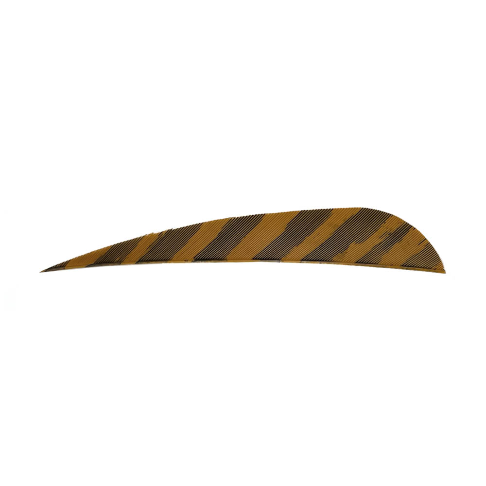 Color: Barred Brown Color: Barred Brown