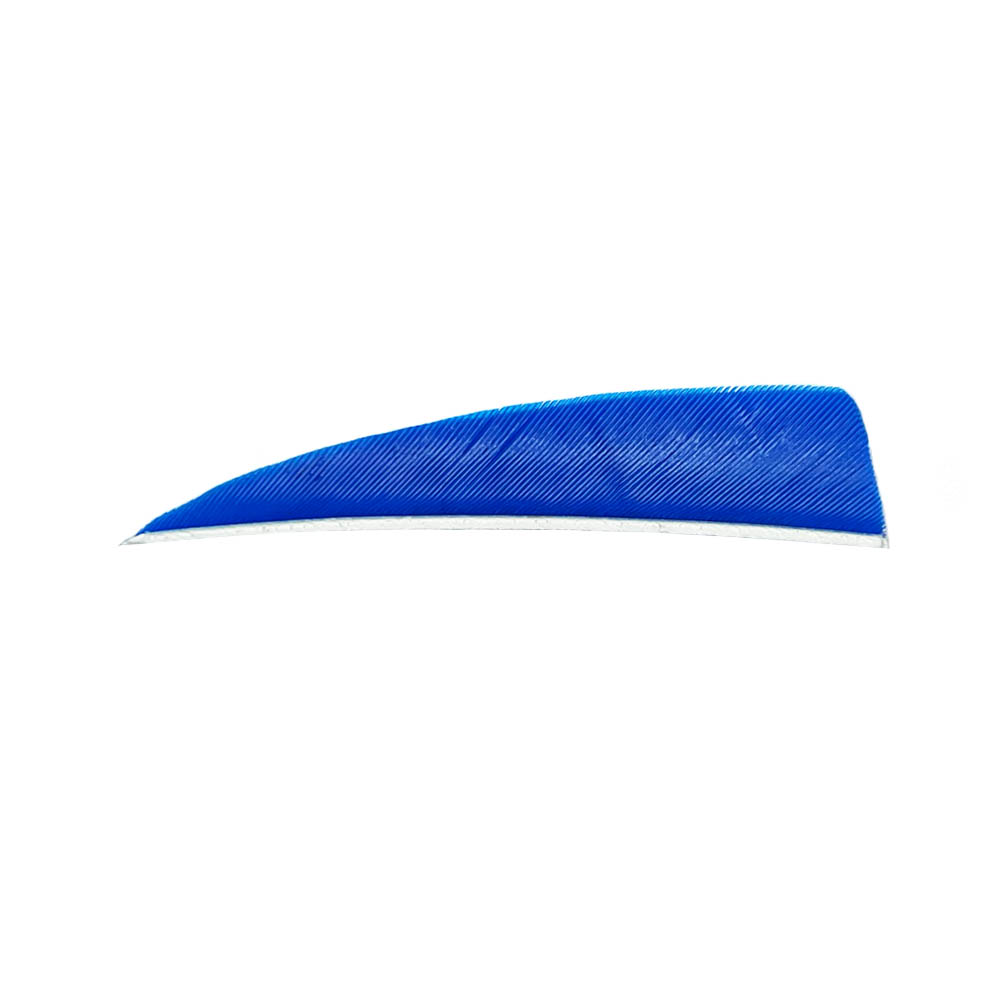 Color: Blue Color: Blue
