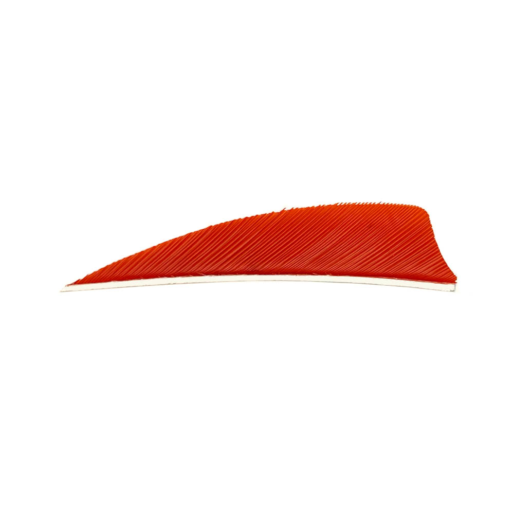 Color: Tangerine Color: Tangerine