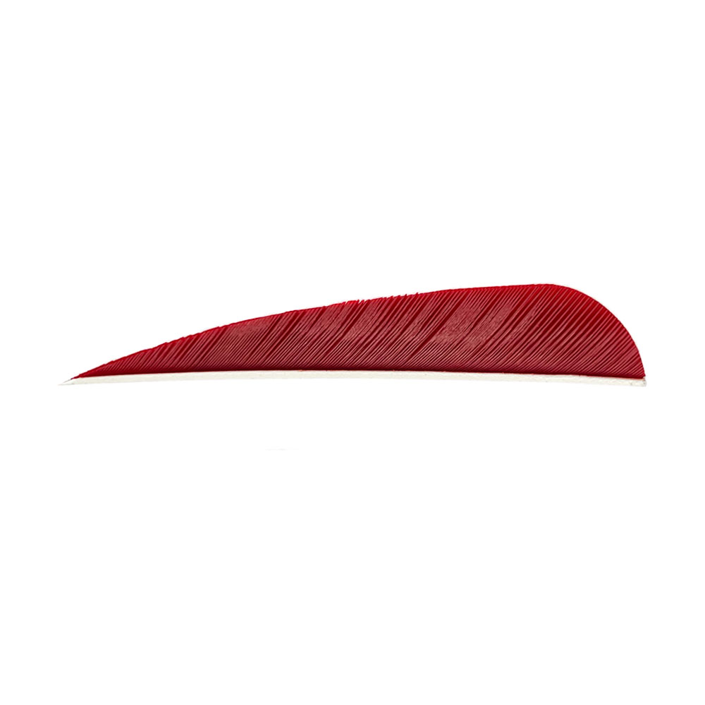 Color: Red Color: Red