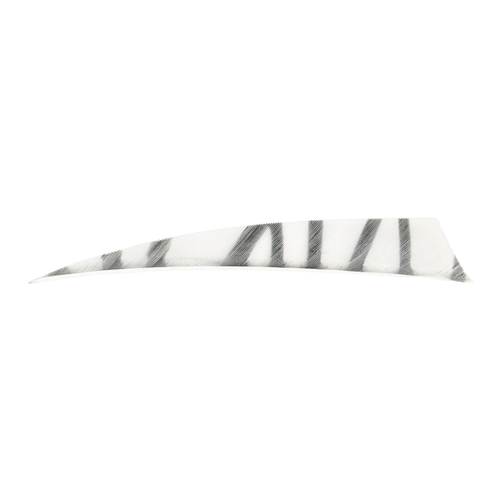 Color: White/Black Color: White/Black