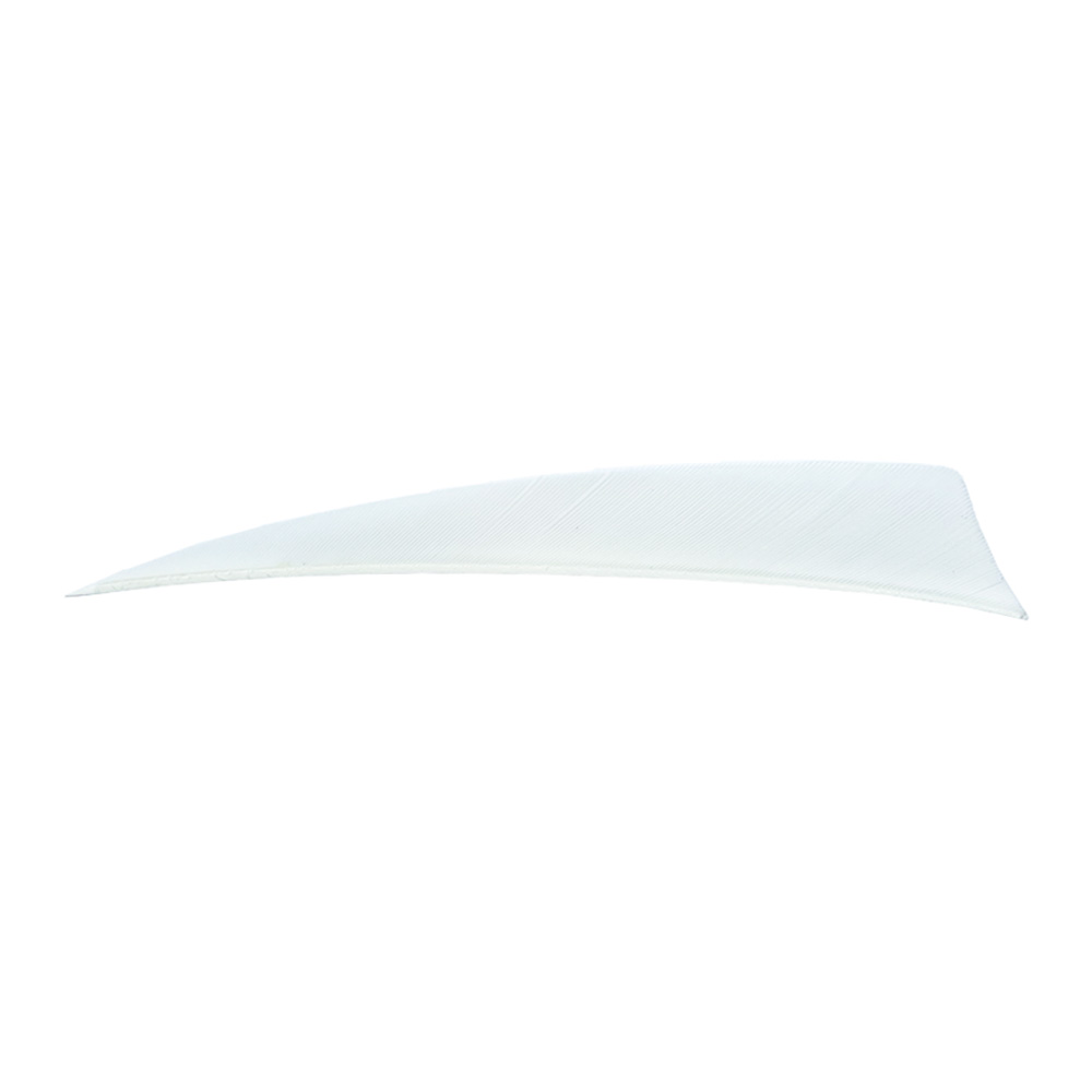Color: White Color: White