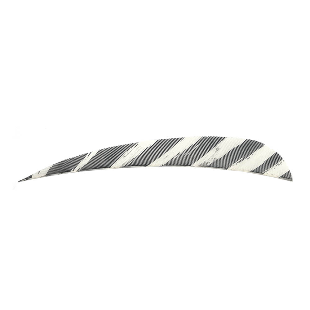 Color: Barred White Color: Barred White