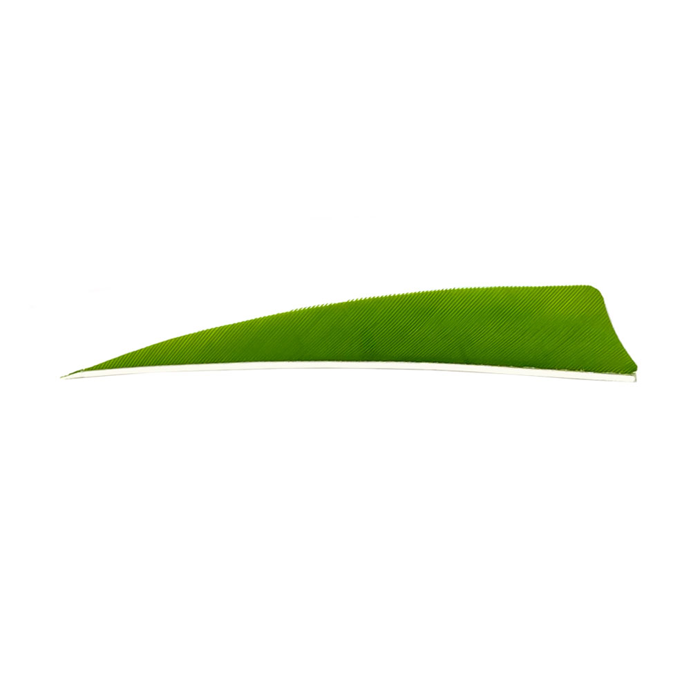 Color: Chartreuse Color: Chartreuse