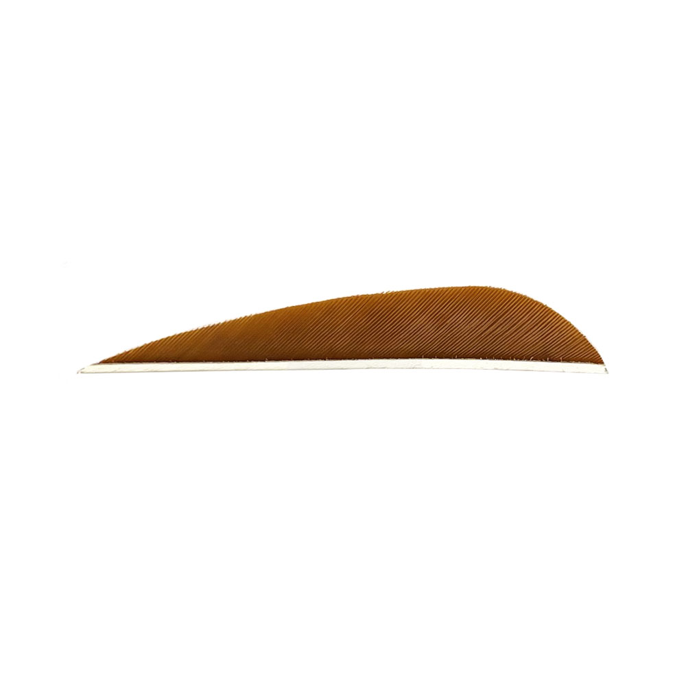 Color: Brown Color: Brown
