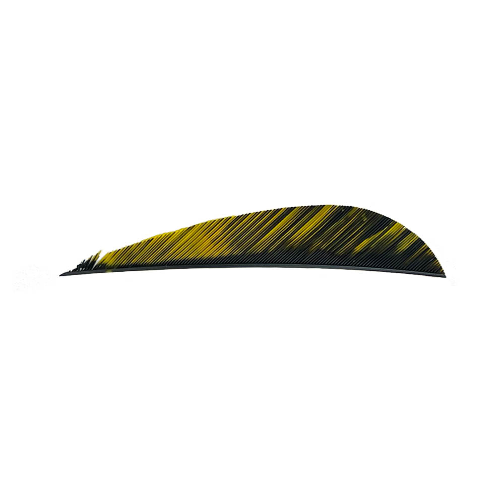 Color: Tre Yellow Color: Tre Yellow