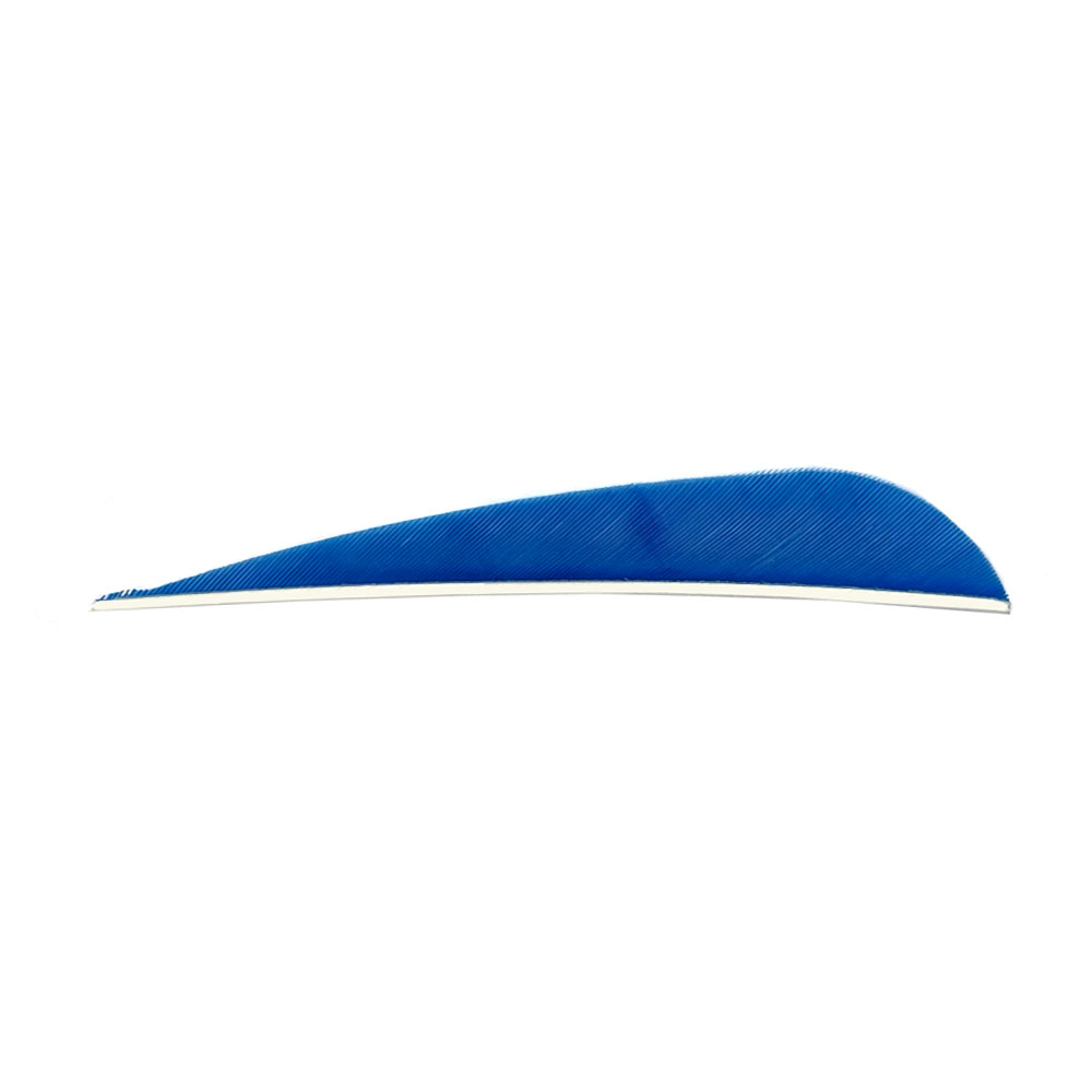 Color: Sky Blue Color: Sky Blue