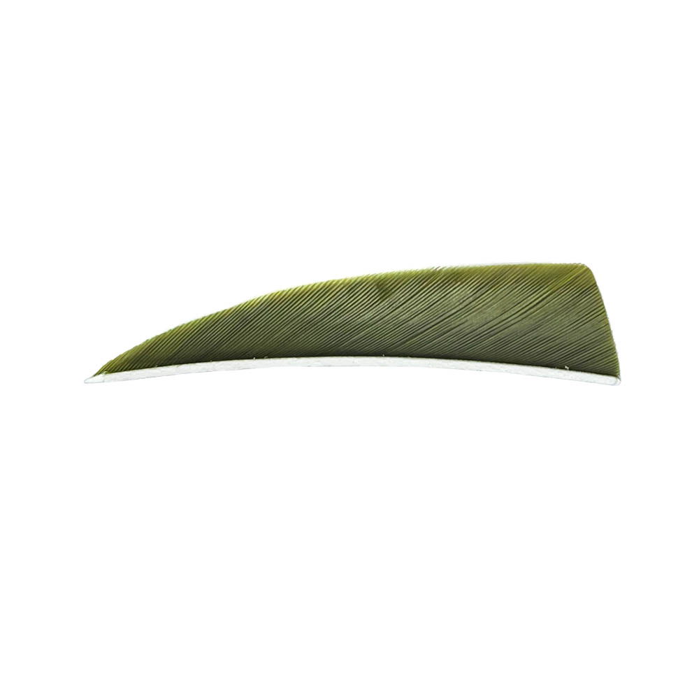 Color: Olive Green Color: Olive Green