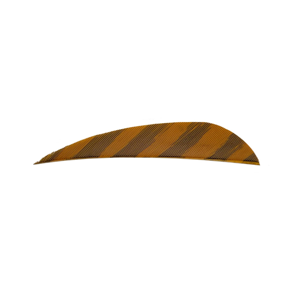 Color: Barred Brown Color: Barred Brown