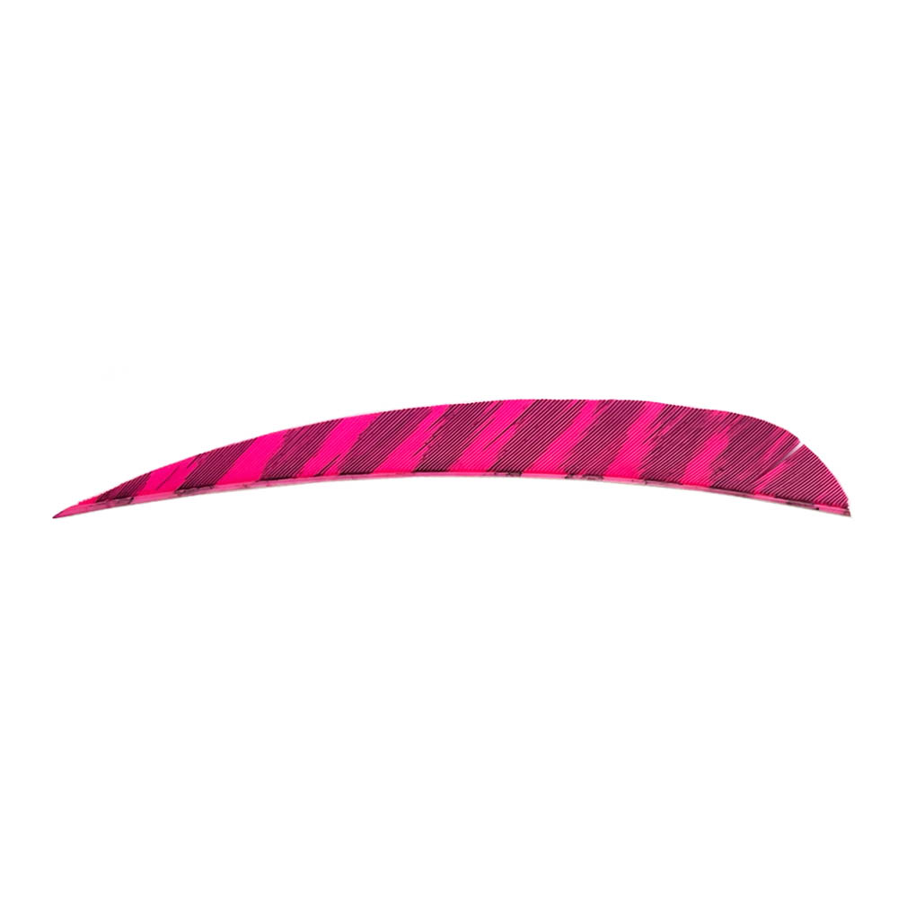 Color: Barred Pink Color: Barred Pink