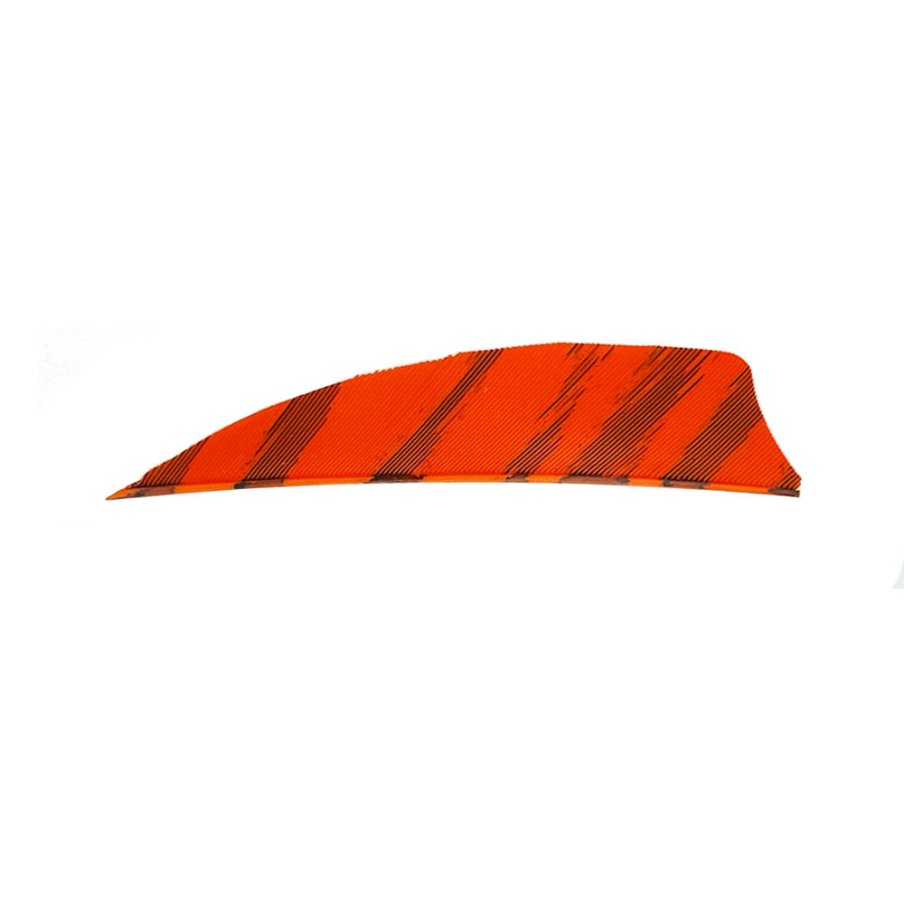 Color: Barred Orange Color: Barred Orange