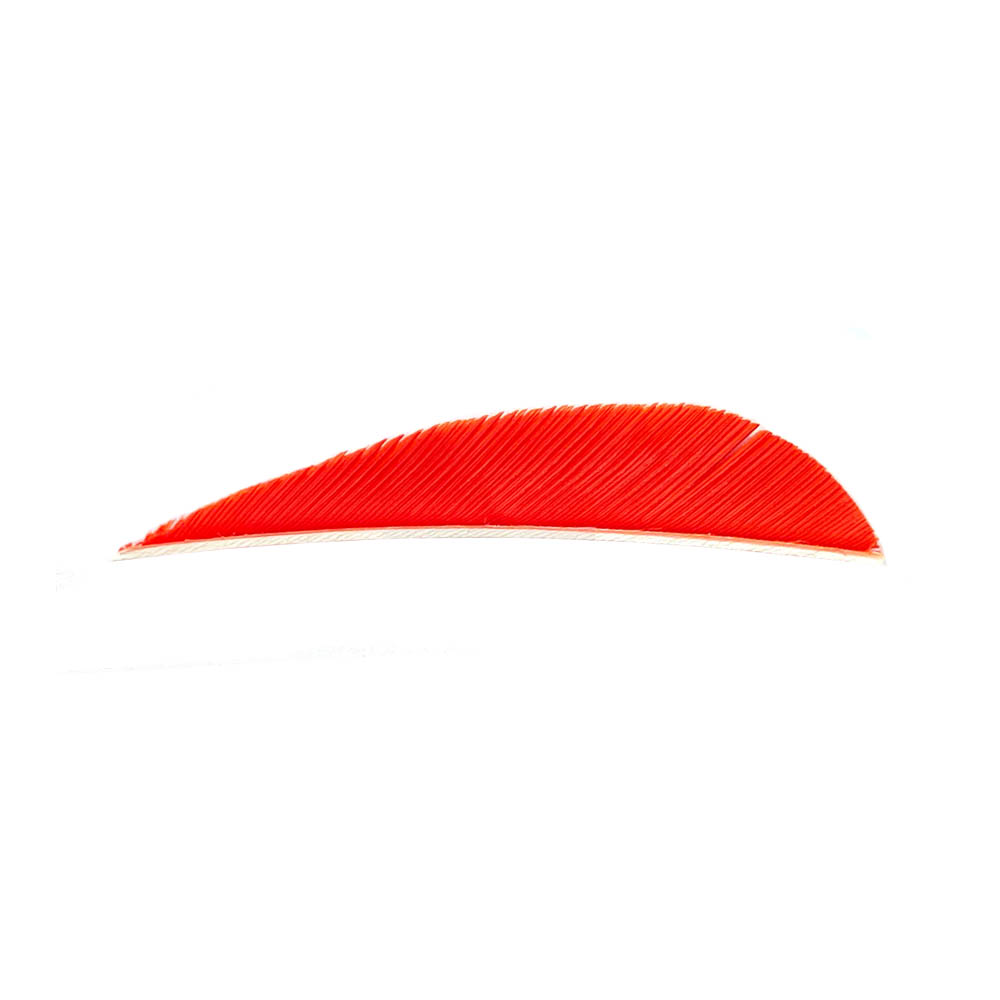 Color: Orange Color: Orange