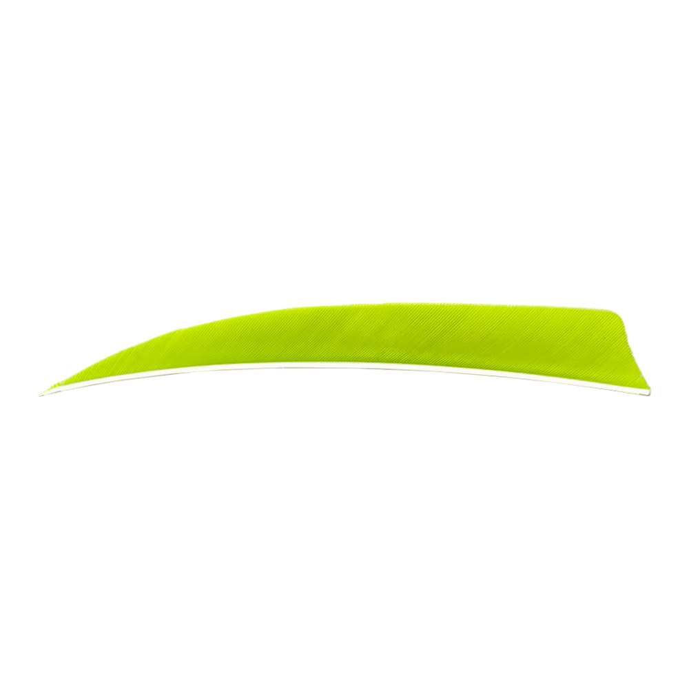Color: Lemon Lime Color: Lemon Lime
