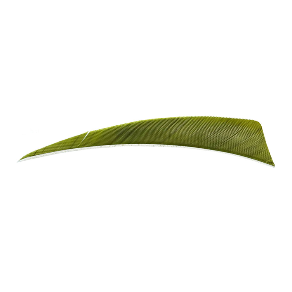 Color: Olive Green Color: Olive Green