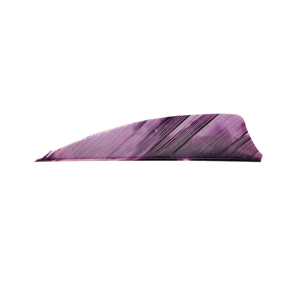 Color: Tre Purple Color: Tre Purple