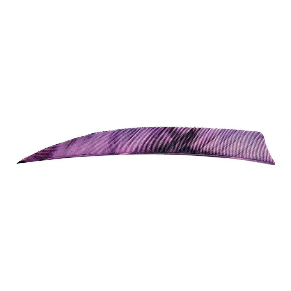 Color: Tre Purple Color: Tre Purple