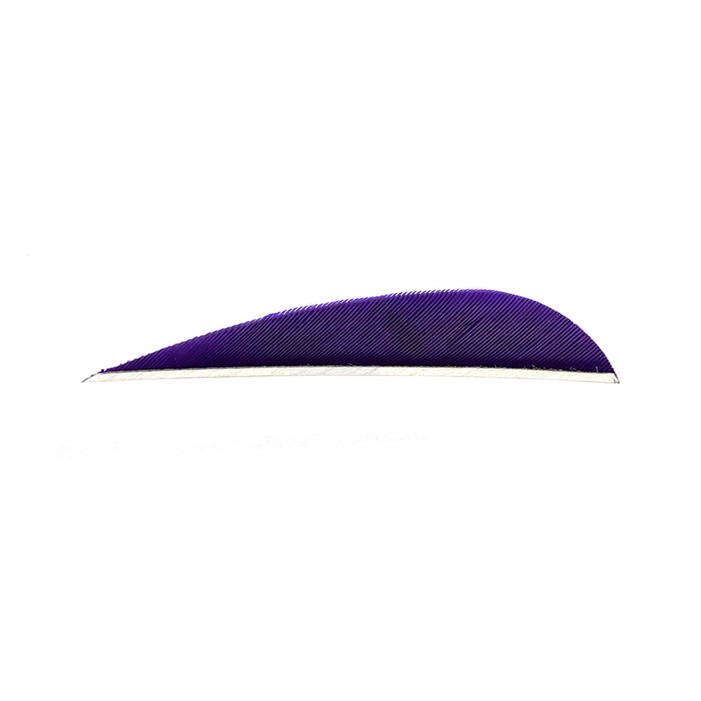Color: Purple Color: Purple